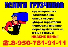 Регион 55